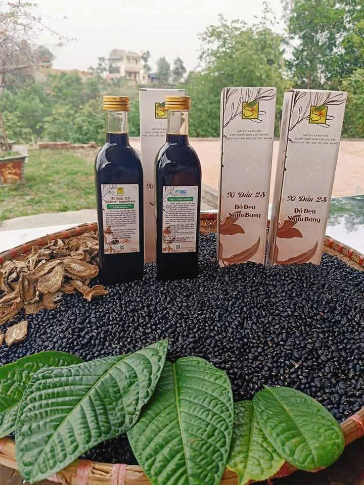 Hình ảnh Xì dầu 2S Đỗ đen - Ngưu bàng